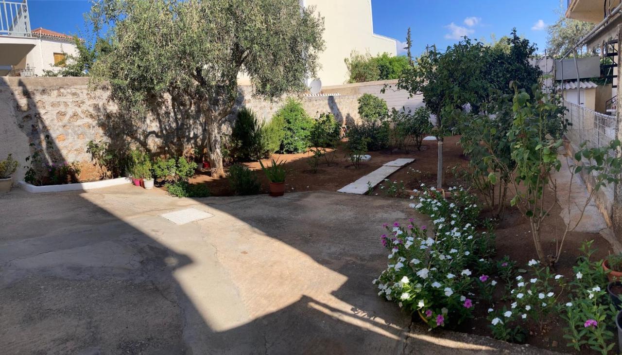 ספצס Olga'S Place מראה חיצוני תמונה